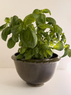 Green Stoneware Bowl