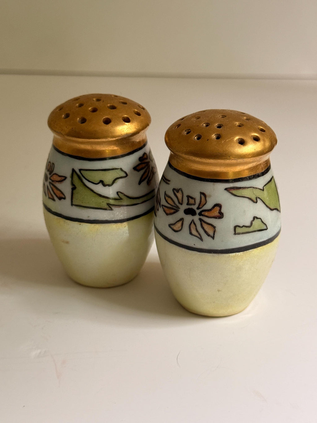 Vintage Hand-Painted Ceramic Salt & Pepper Shakers, Floral Botanical Shaker Set