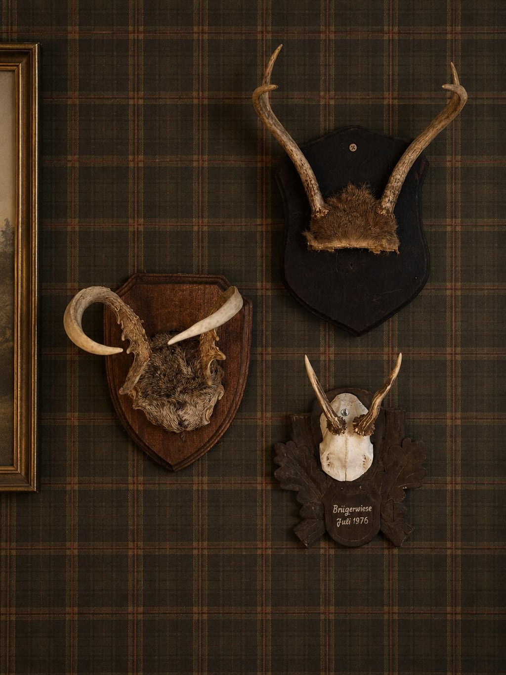 Vintage Mounted Deer Antlers on Wood Shield Plaque, European Hunting Trophy, Rustic Lodge Decor