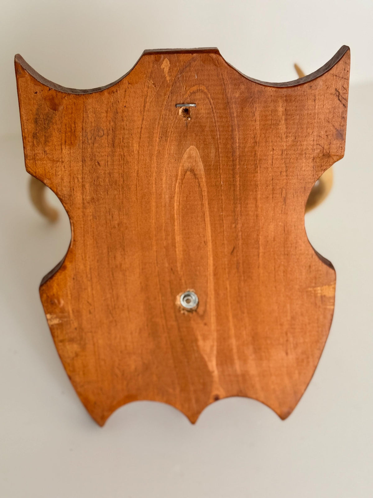 Vintage Mounted Deer Antlers on Wood Shield Plaque, European Hunting Trophy, Rustic Lodge Decor