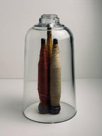 Clear Glass Cloche, Tall Bell Jar Display Dome, Botanical and Curiosity Decor