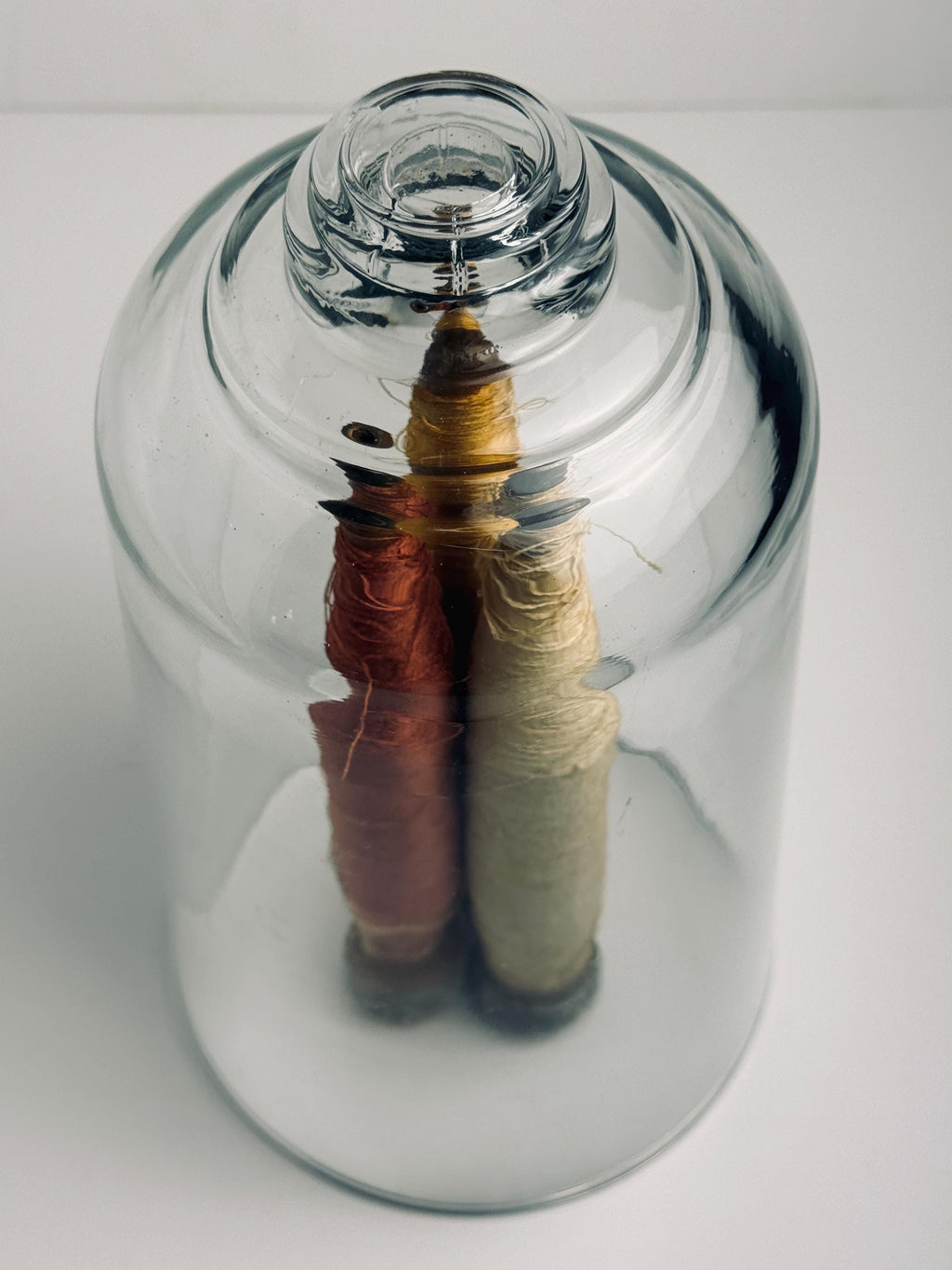Clear Glass Cloche, Tall Bell Jar Display Dome, Botanical and Curiosity Decor