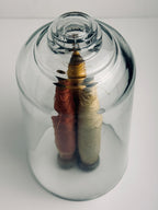 Clear Glass Cloche, Tall Bell Jar Display Dome, Botanical and Curiosity Decor